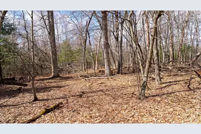 Lot 4 +/- 111Ac Dover Drive, Adams, WI 53910 - Photo 11