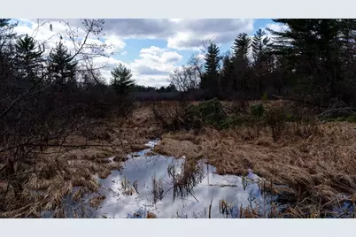 Lot 4 +/- 111Ac Dover Drive, Adams, WI 53910 - Photo 17