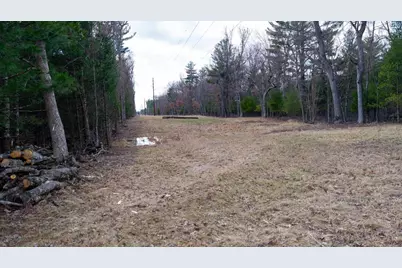 Lot 4 +/- 111Ac Dover Drive, Adams, WI 53910 - Photo 15