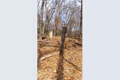 Lot 4 +/- 111Ac Dover Drive, Adams, WI 53910 - Photo 7