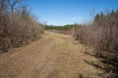 +/-80Ac Knobs Road, Arena, WI 53588 - Photo 17