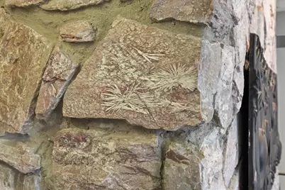 729 Dearholt Road, Madison, WI 53711 - Photo 27