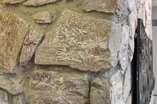 729 Dearholt Rd, Madison, WI 53711 - Photo 27