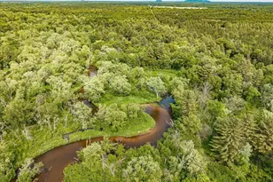 1988 Cumberland Dr, Arkdale, WI 54613 - Photo 25