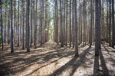 W6718 18th Street, Necedah, WI 54646 - Photo 31