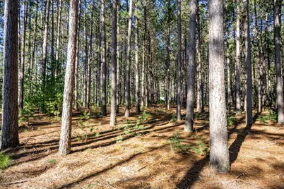 W6718 18th Street, Necedah, WI 54646 - Photo 29