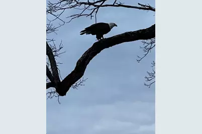 E13609 Idlewild Road, Merrimac, WI 53561 - Photo 15