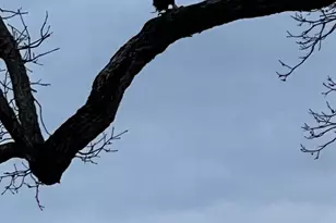 E13609 Idlewild Rd, Merrimac, WI 53561 - Photo 15