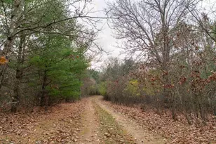 N8604 17th Ave, Neshkoro, WI 54960 - Photo 61