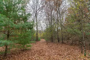 N8604 17th Ave, Neshkoro, WI 54960 - Photo 55