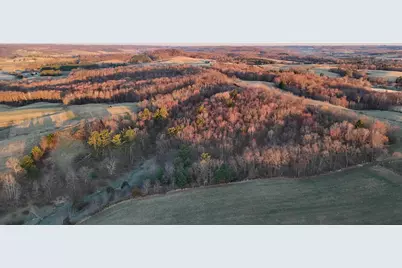 N1503 Raese Road, Wonewoc, WI 53968 - Photo 13