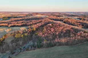 N1503 Raese Rd, Wonewoc, WI 53968 - Photo 13