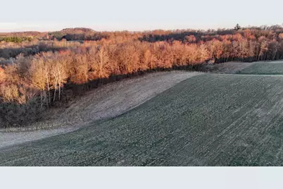 N1503 Raese Road, Wonewoc, WI 53968 - Photo 17