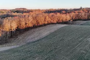 N1503 Raese Rd, Wonewoc, WI 53968 - Photo 17