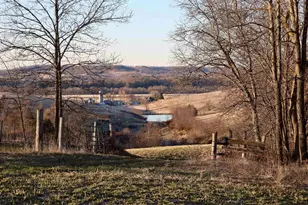 N1503 Raese Rd, Wonewoc, WI 53968 - Photo 61