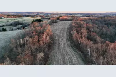 N1503 Raese Road, Wonewoc, WI 53968 - Photo 5