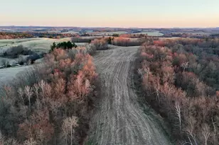 N1503 Raese Rd, Wonewoc, WI 53968 - Photo 5