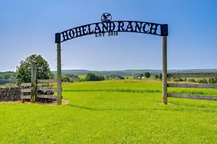 N1503 Raese Rd, Wonewoc, WI 53968 - Photo 37