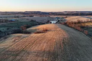 N1503 Raese Rd, Wonewoc, WI 53968 - Photo 15