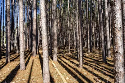 N9990 Pine Cone Court, Necedah, WI 54646 - Photo 13