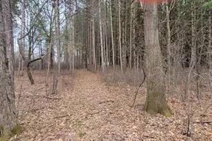 12549 County Hwy N, Tomah, WI 54660 - Photo 39