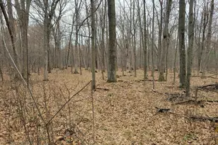 12549 County Hwy N, Tomah, WI 54660 - Photo 41