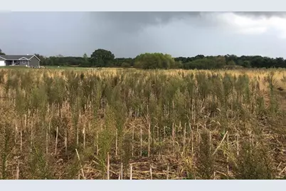 Lots 8 &amp; 9 English Settlement Road, Albany, WI 53502 - Photo 3