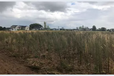 Lots 8 &amp; 9 English Settlement Road, Albany, WI 53502 - Photo 9