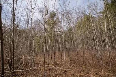 Lot 1 Csm 2651 Eagle Avenue, Westfield, WI 53964 - Photo 13