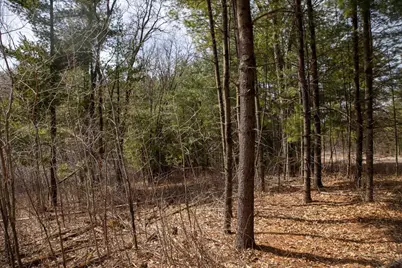 Lot 1 Csm 2651 Eagle Avenue, Westfield, WI 53964 - Photo 9