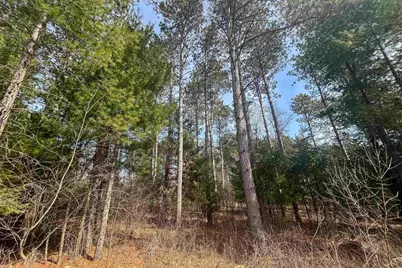 Lot 1 Csm 2651 Eagle Avenue, Westfield, WI 53964 - Photo 5