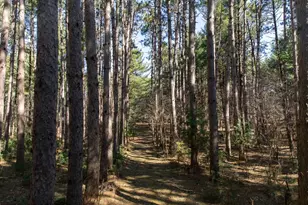 W8179 Eagle Dr Dr, Oxford, WI 53964 - Photo 51