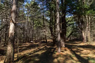 W8179 Eagle Dr Dr, Oxford, WI 53964 - Photo 53