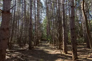 W8179 Eagle Dr Dr, Oxford, WI 53964 - Photo 49