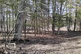 W1080 Dover Rd, Neshkoro, WI 54960 - Photo 1