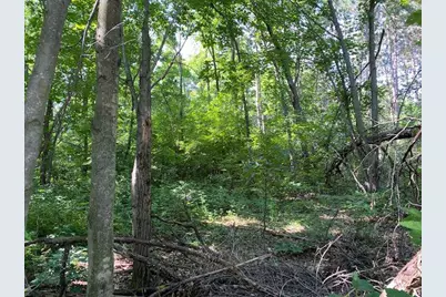 Lot 18 Oak Hill Estates, Mauston, WI 53948 - Photo 5