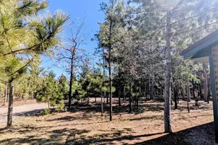 1360 10th Ave, Friendship, WI 53934 - Photo 31