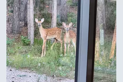 1360 10th Avenue, Friendship, WI 53934 - Photo 23
