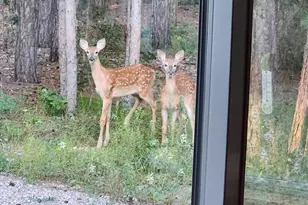 1360 10th Ave, Friendship, WI 53934 - Photo 23