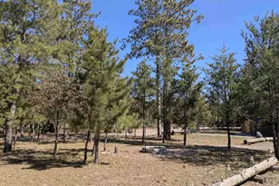 1360 10th Ave, Friendship, WI 53934 - Photo 27