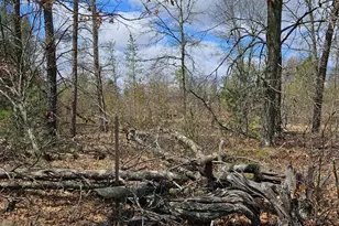 N9656 19th Ave, Necedah, WI 54646 - Photo 61