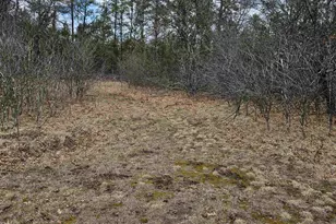 N9656 19th Ave, Necedah, WI 54646 - Photo 21