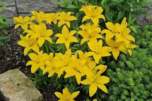 440 Grandview Dr, Waunakee, WI 53597 - Photo 11