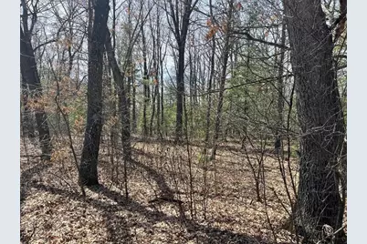 L 87 &amp; 102 13th Drive, Friendship, WI 53934 - Photo 5