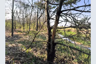 5.3 M/L Acres Palmer Road, Lake Geneva, WI 53147 - Photo 15