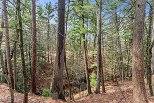 407 Clara Ave, Wisconsin Dells, WI 53965 - Photo 31