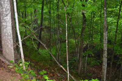 19767 County Hwy A, Richland Center, WI 53581 - Photo 79