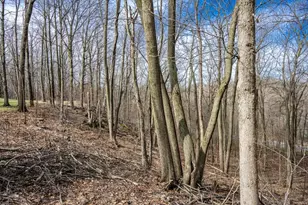 N959 State Road 58, Mauston, WI 53948 - Photo 19