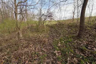 E5390 Parker Dr, Viroqua, WI 54665 - Photo 85