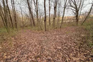 E5390 Parker Dr, Viroqua, WI 54665 - Photo 71